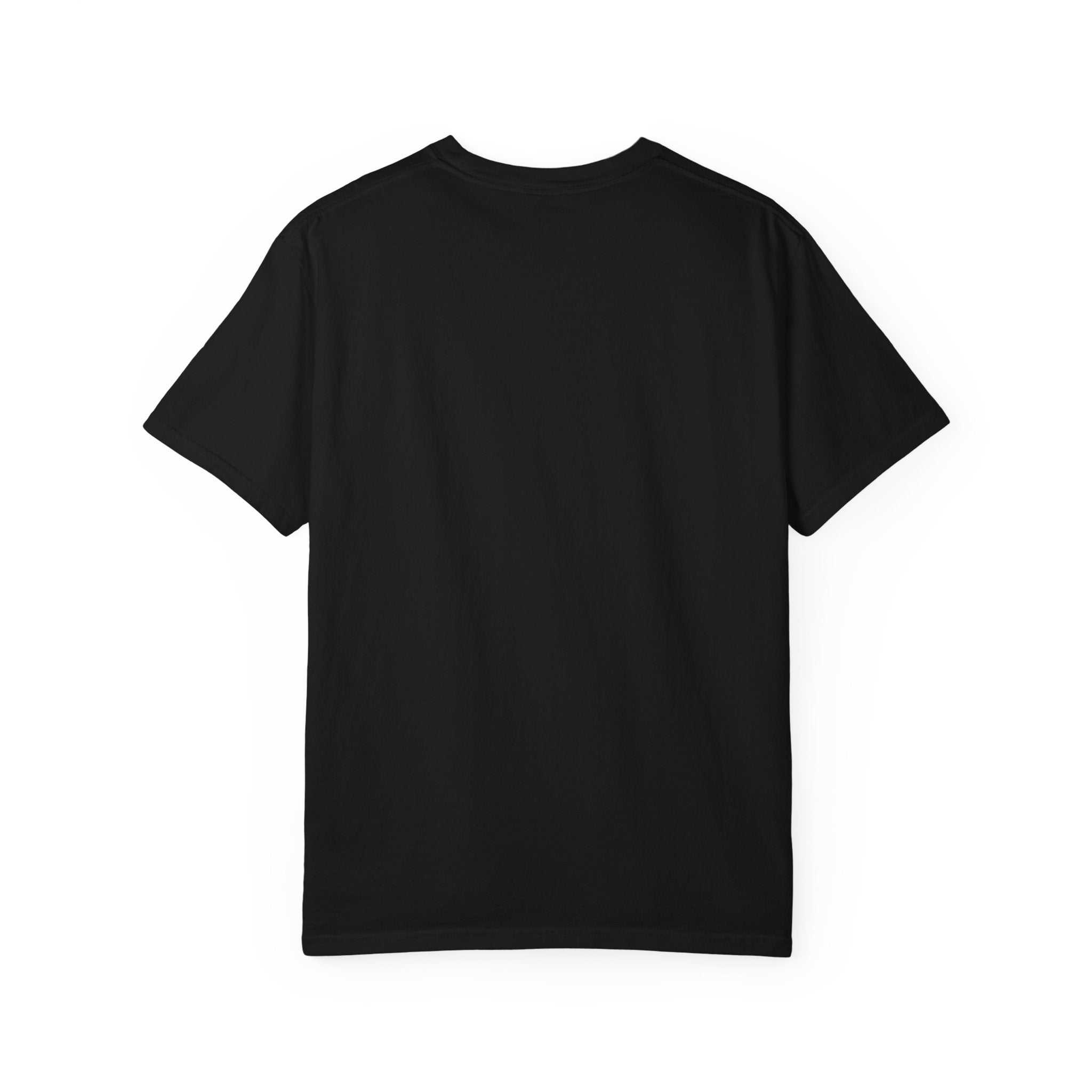 Master of the Toolbox Dad Tee | Retro Father’s Day Graphic Shirt